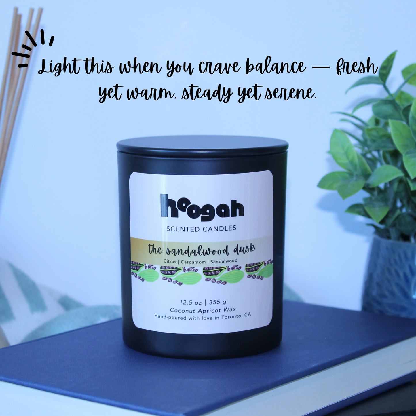 12.5oz - The Sandalwood Dusk (Scented Candle)